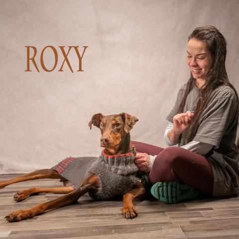 Roxy 01-2261