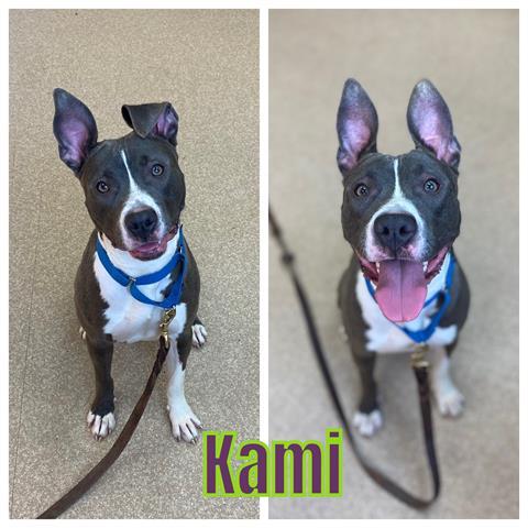 KAMI