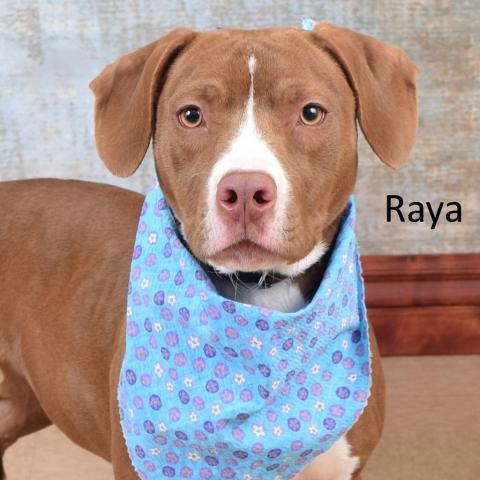 Raya