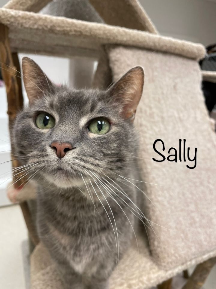 Sally 4