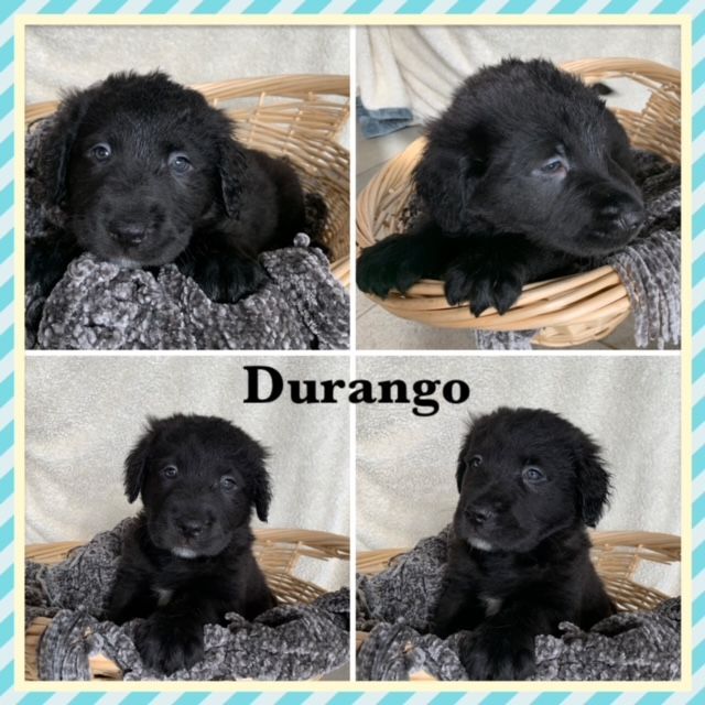 Durango