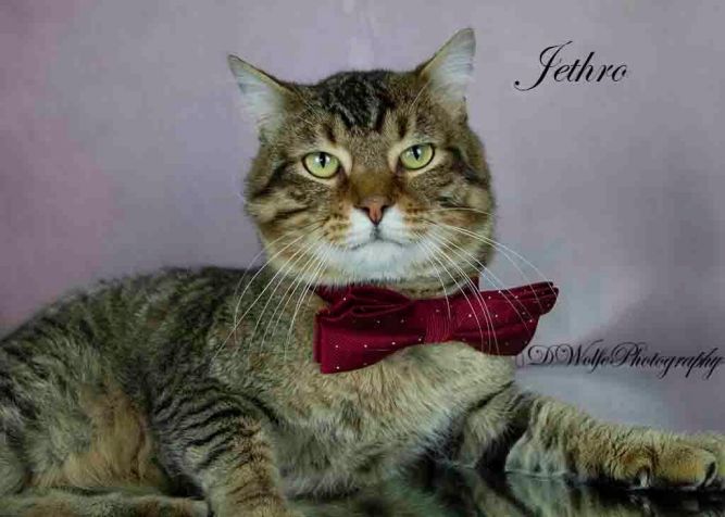 Jethro