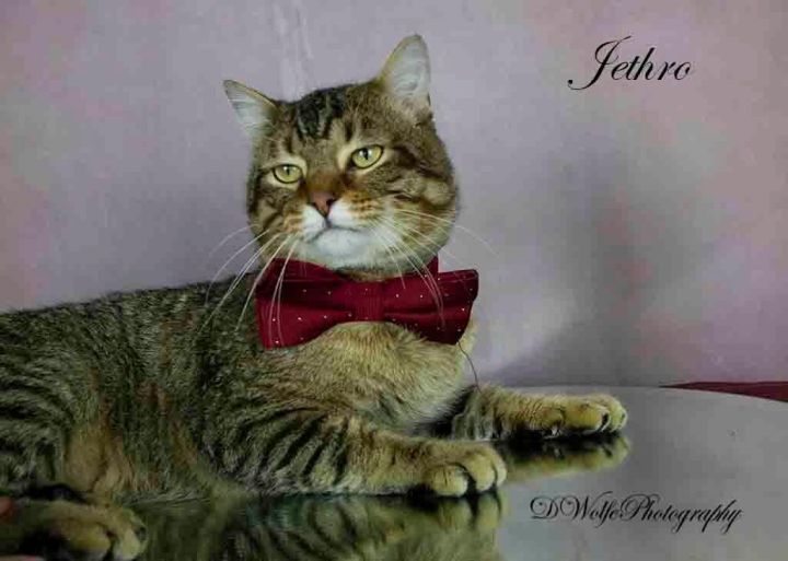 Jethro 4