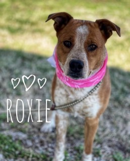 Roxie