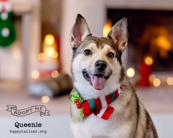 Queenie 2
