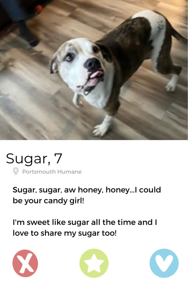 Sugar Aka Aryana