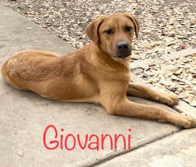 Giovanni