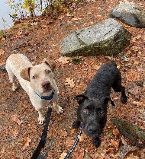 Seamus & Murphy - Best Friends