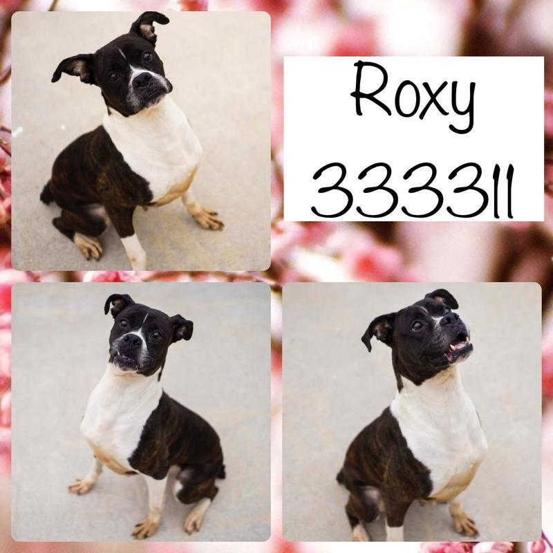 Roxy