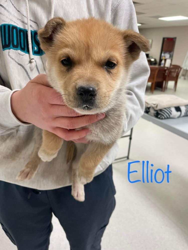 Elliot