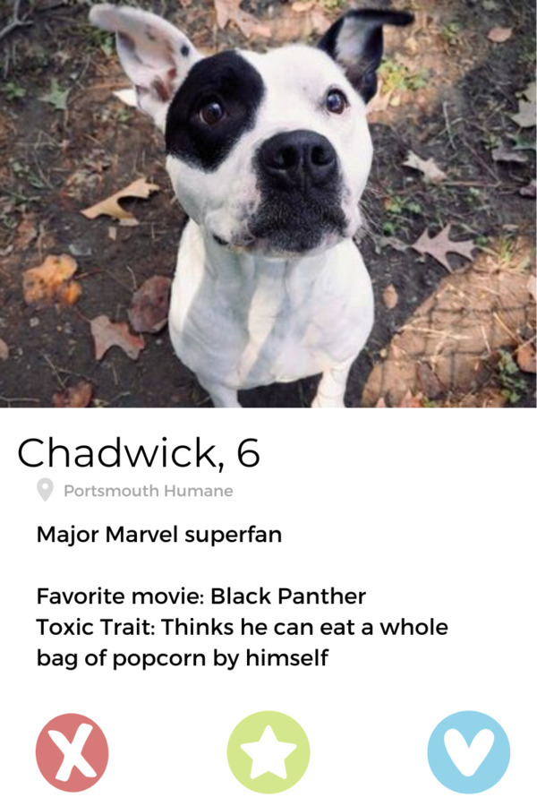 Chadwick