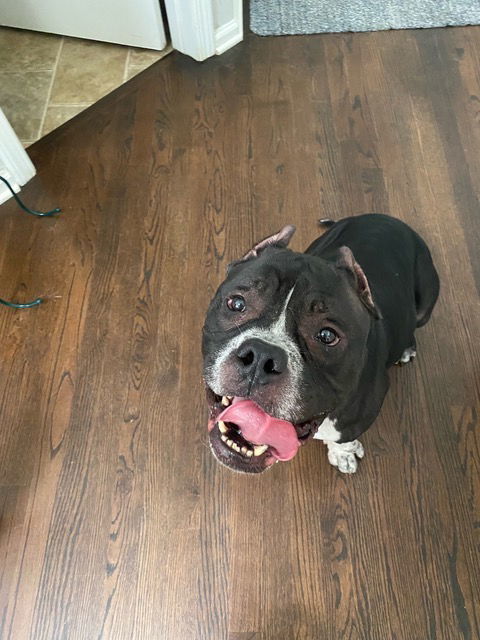 Spanky