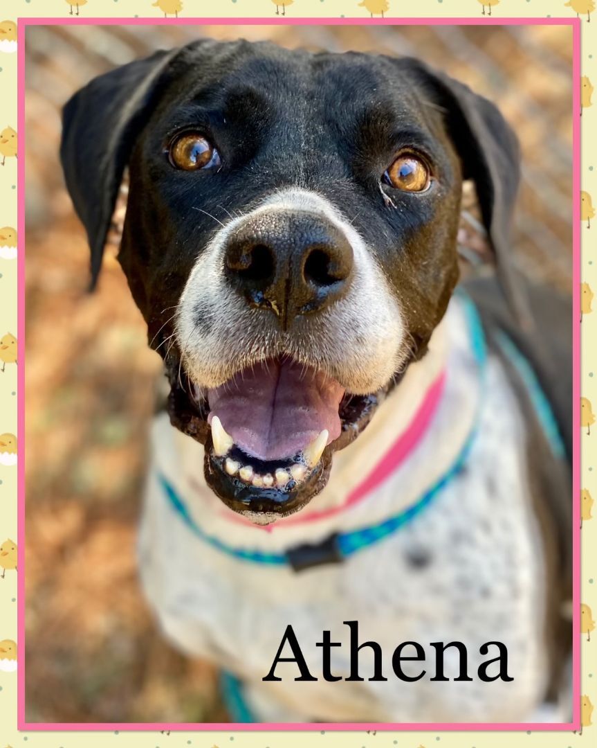 ATHENA