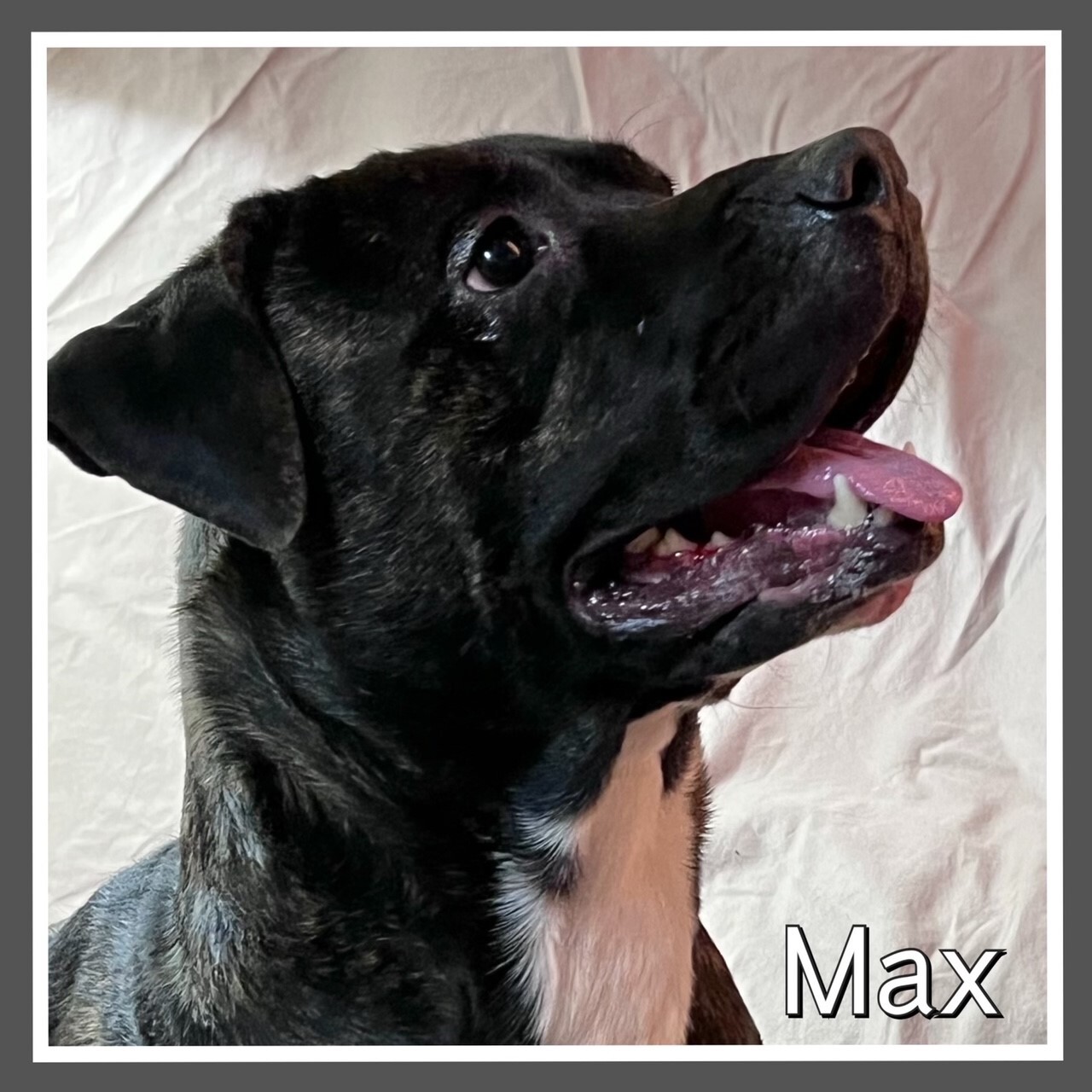 Max