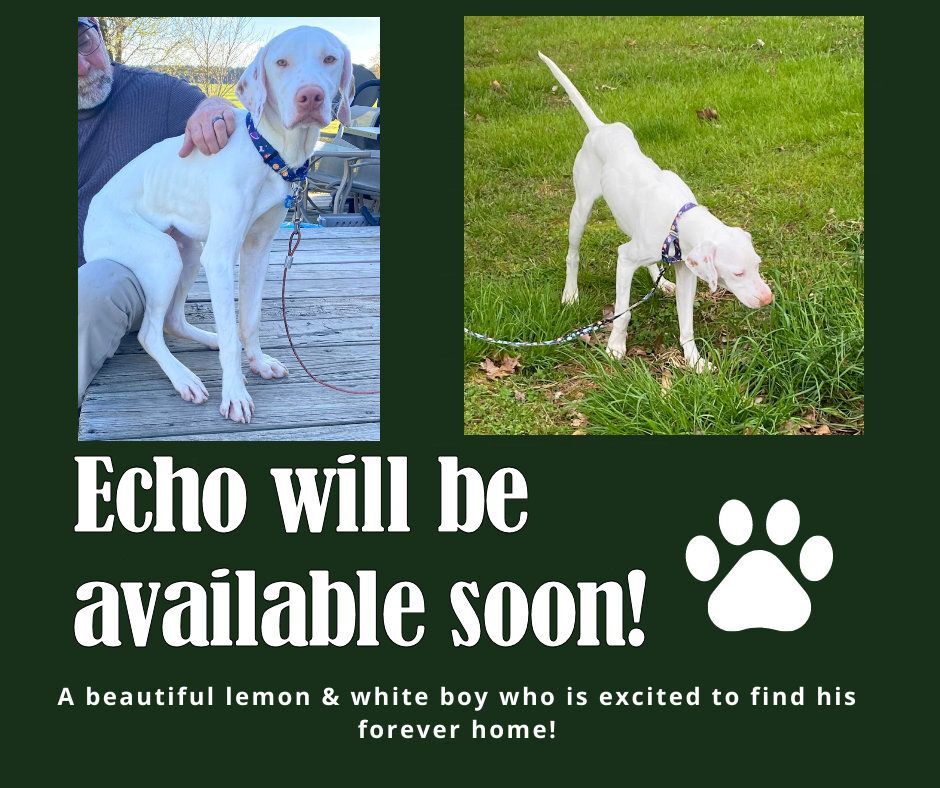 Echo (MD)