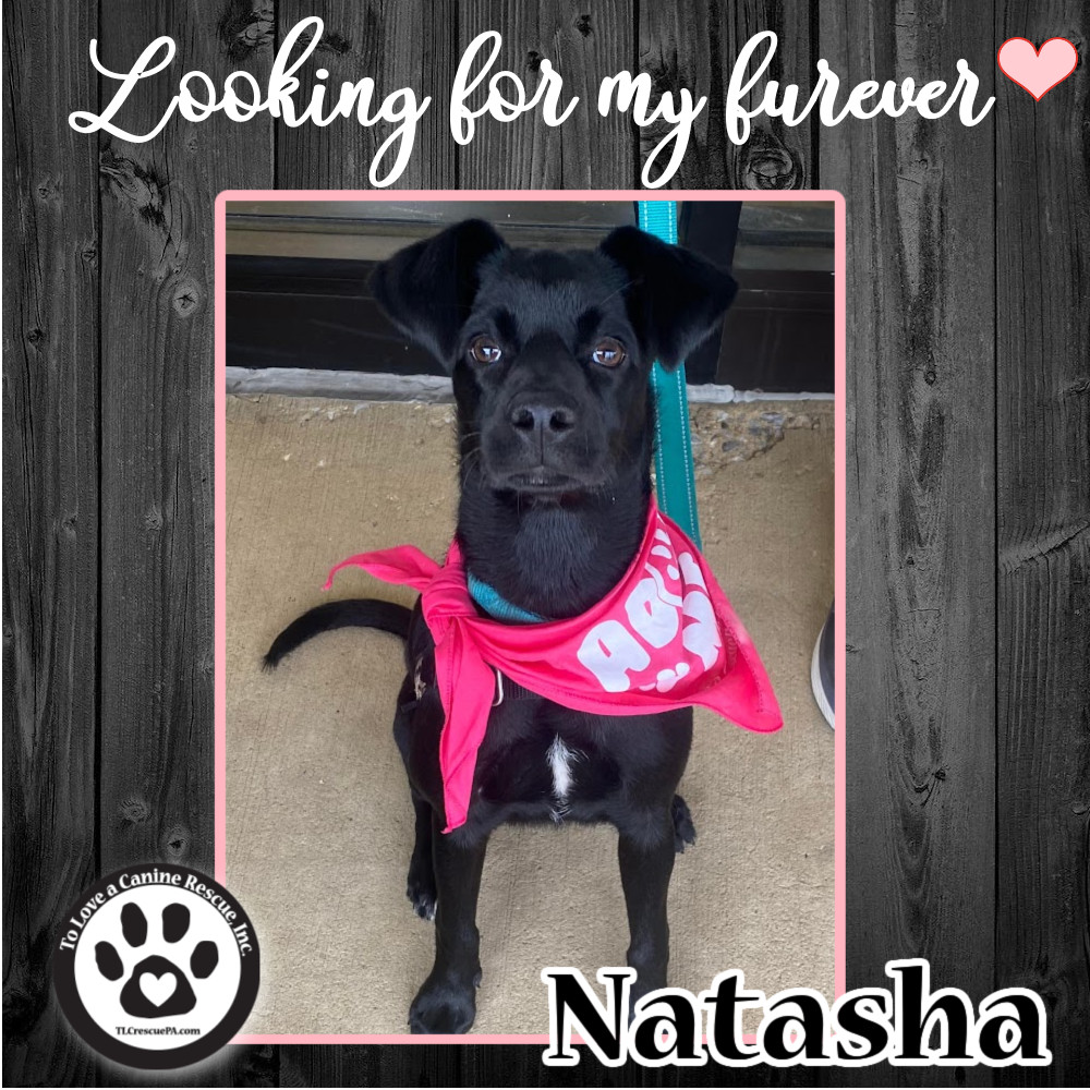 Natasha (Nyet Nuggets) 031922