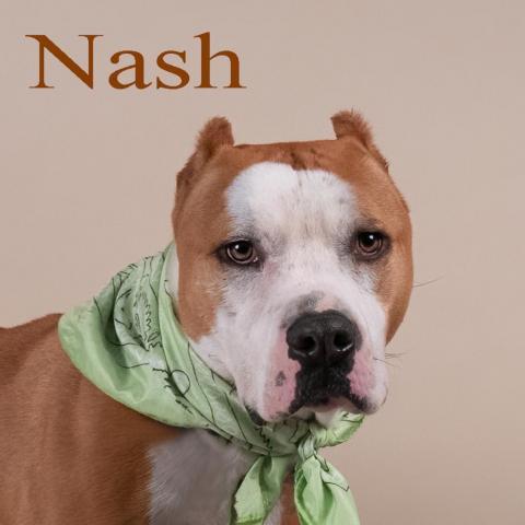 Nash 03-1749