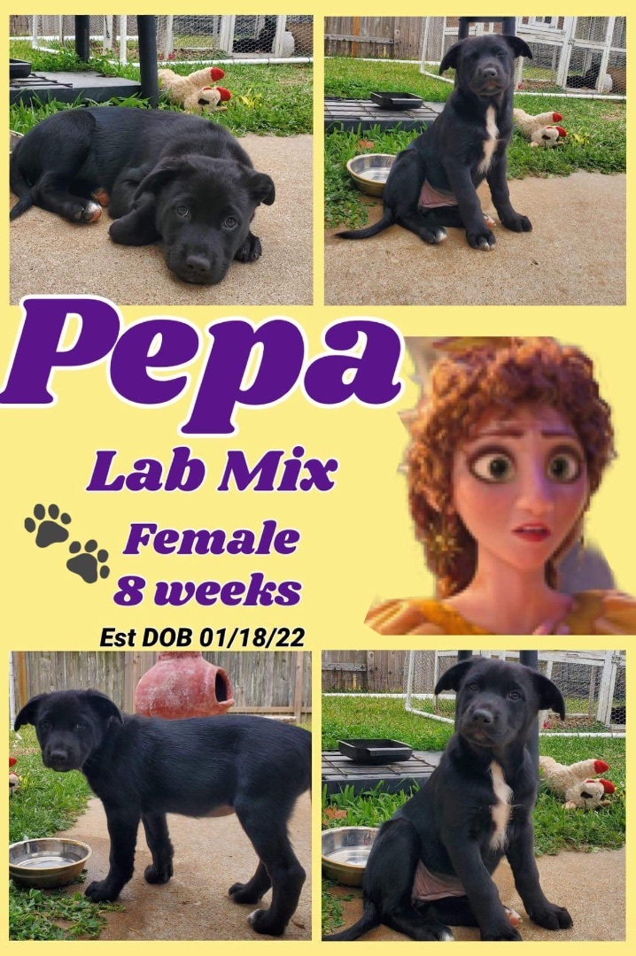 Pepa