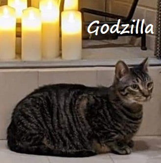Godzilla #monster-duo 4