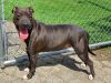 Dixie (Sponsored) photo 3