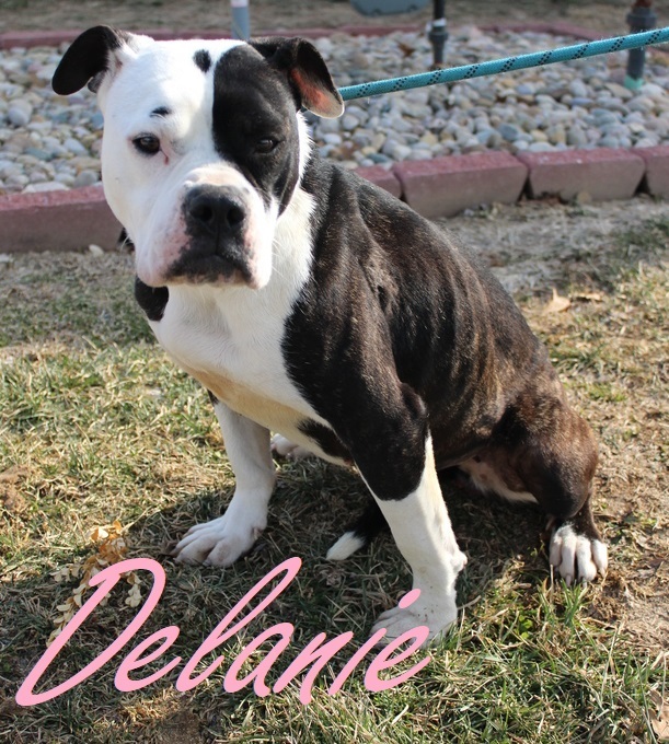 Delanie