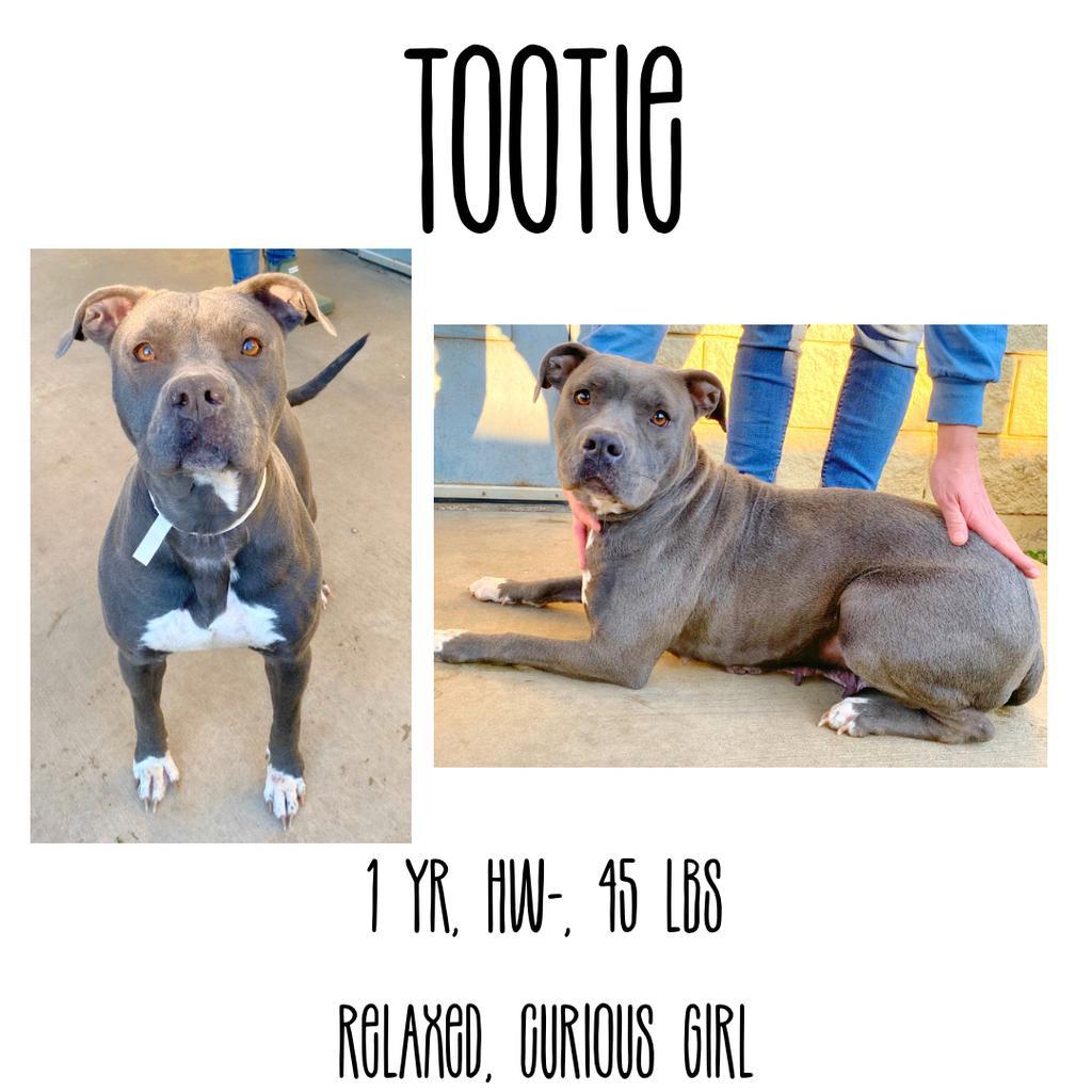 Tootie