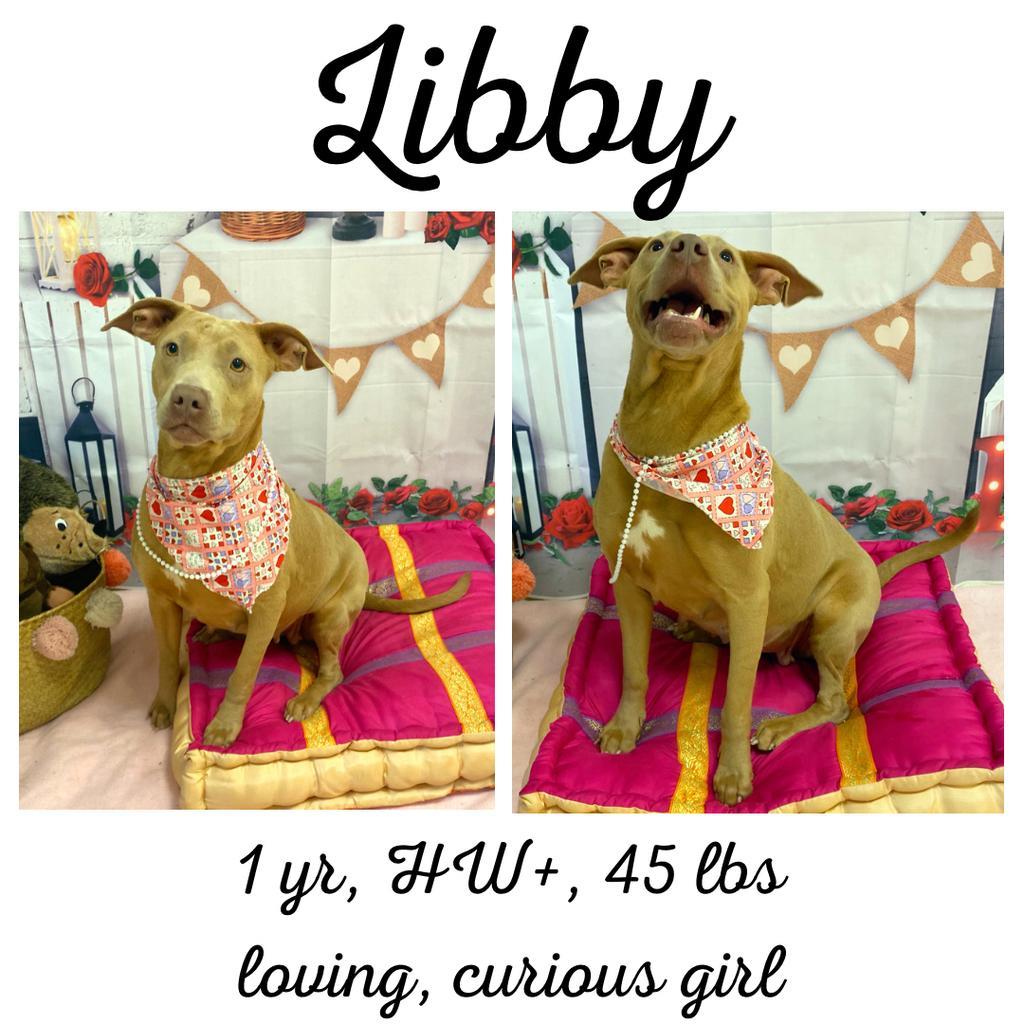 Libby