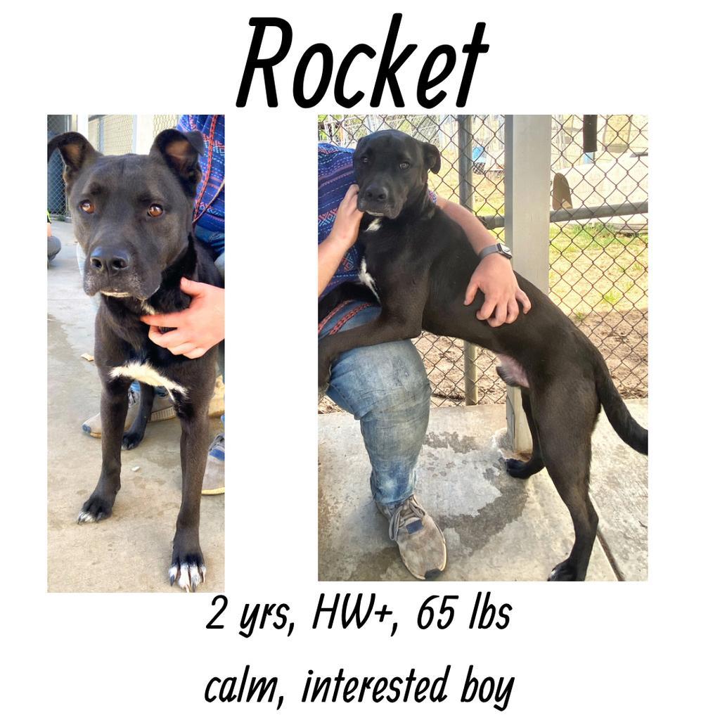 Rocket