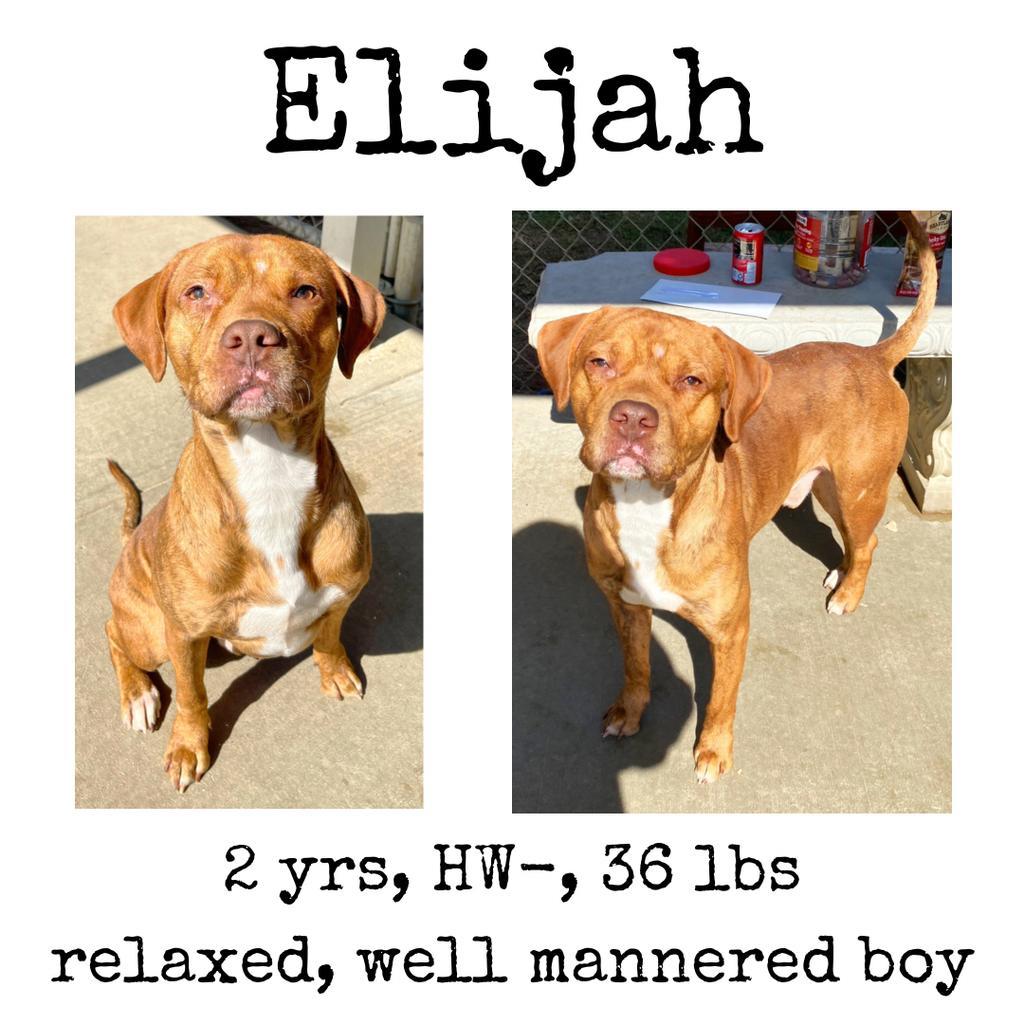 Elijah