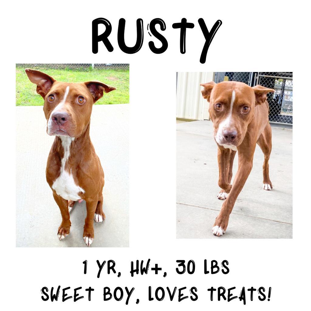 Rusty