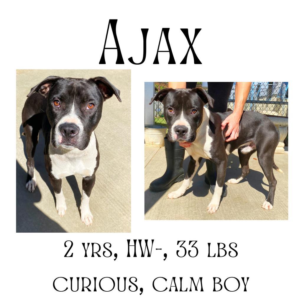 Ajax