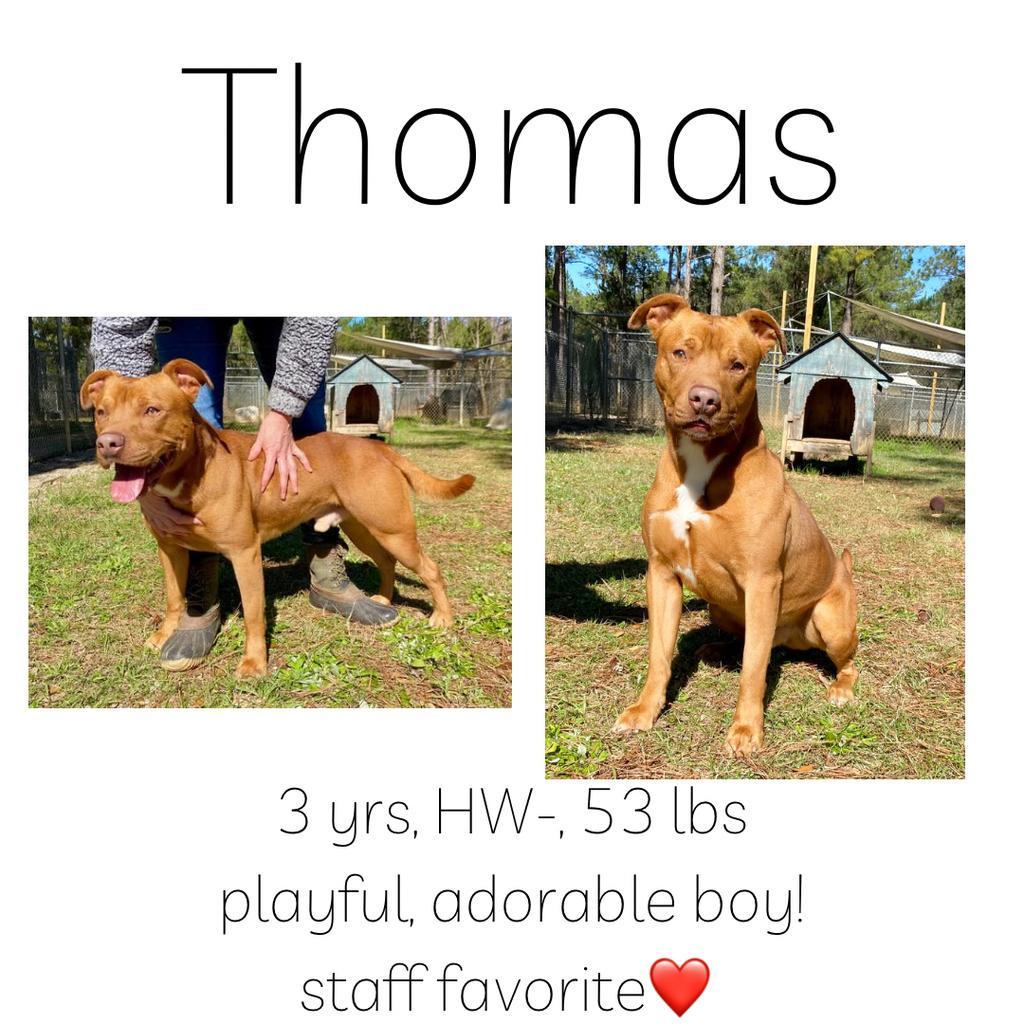 Thomas