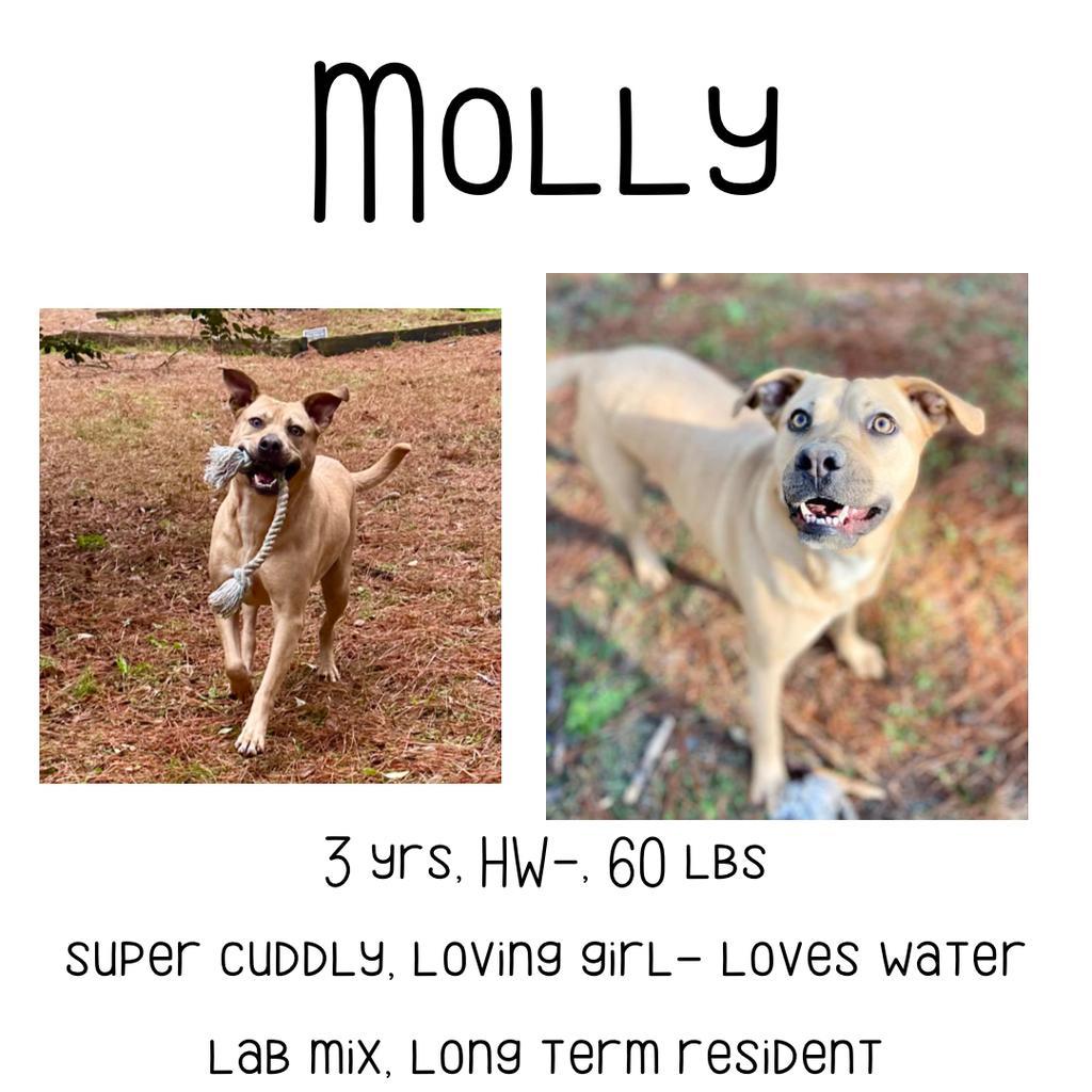 Molly