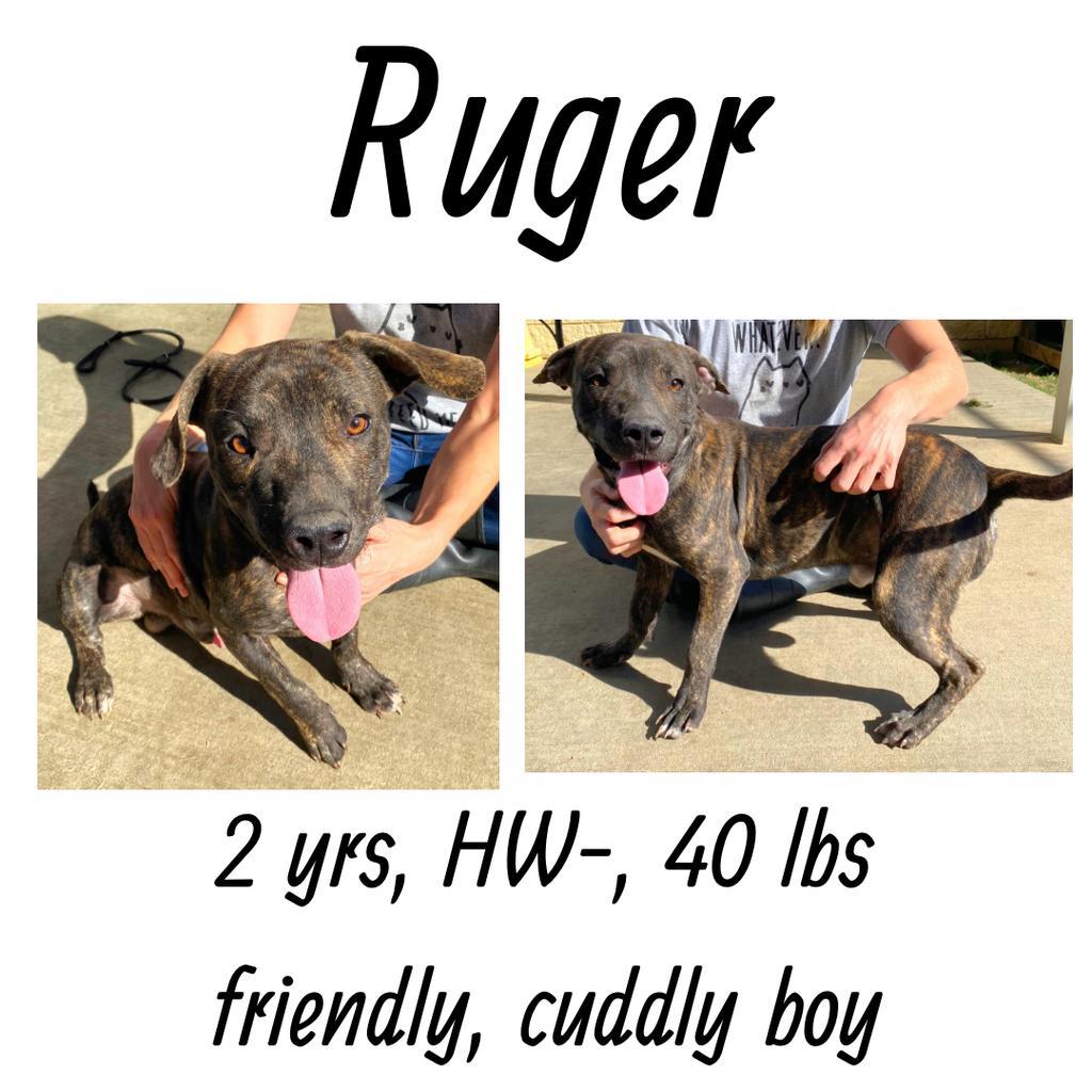 Ruger