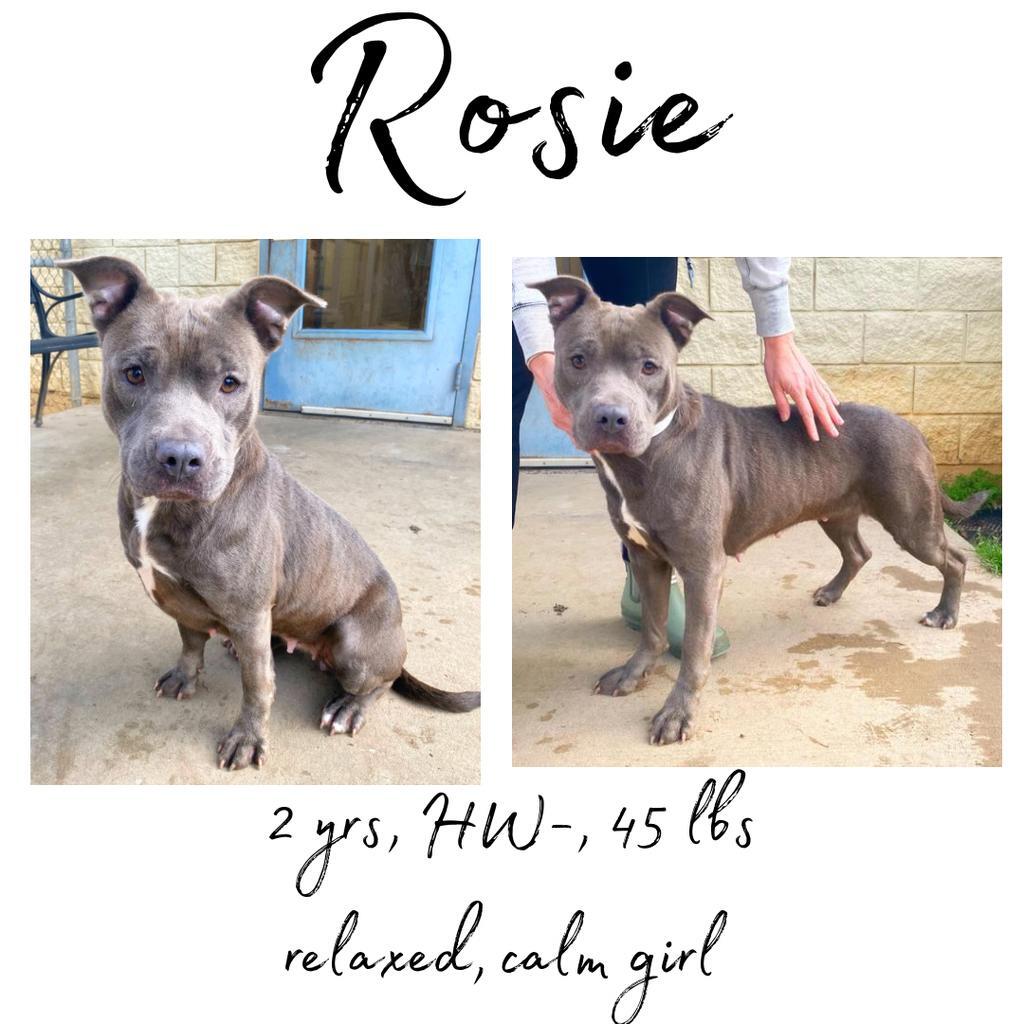 Rosie