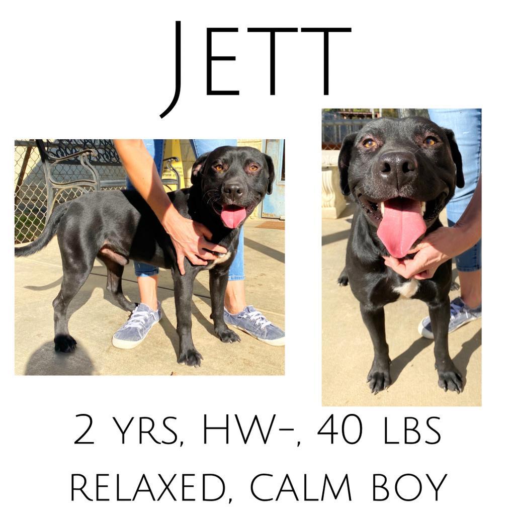 Jett