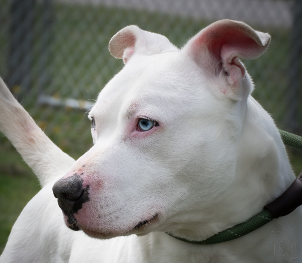 Tucker *deaf* 6
