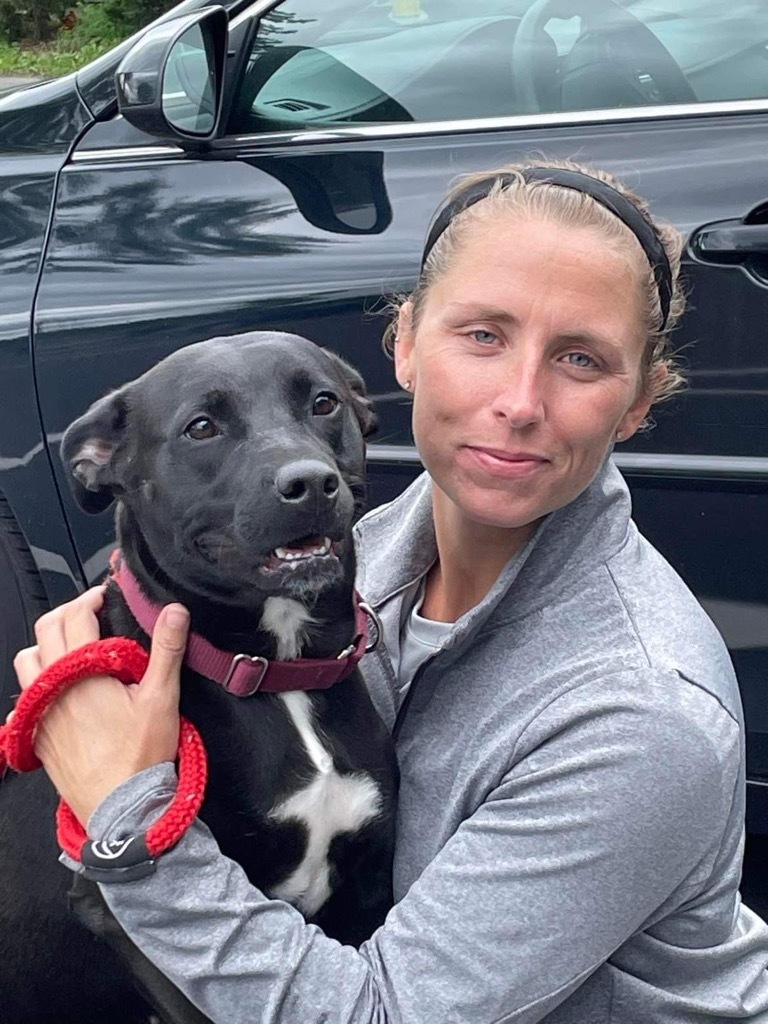 Mandy, an adoptable Labrador Retriever, Mixed Breed in Liverpool, NY, 13088 | Photo Image 2