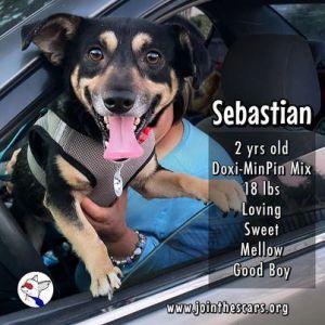 Sebastian