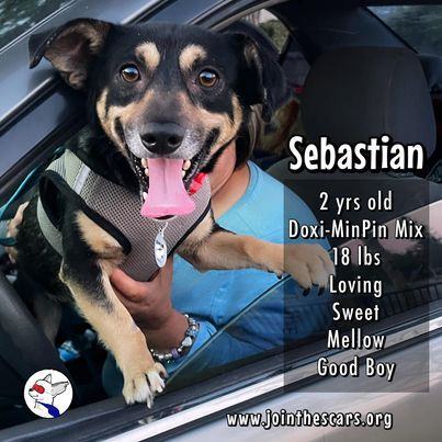 Sebastian detail page