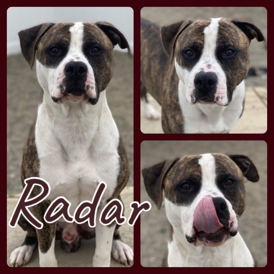 Radar