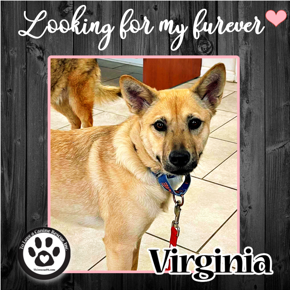 Virginia (mom to Virginia's Pups) 012922