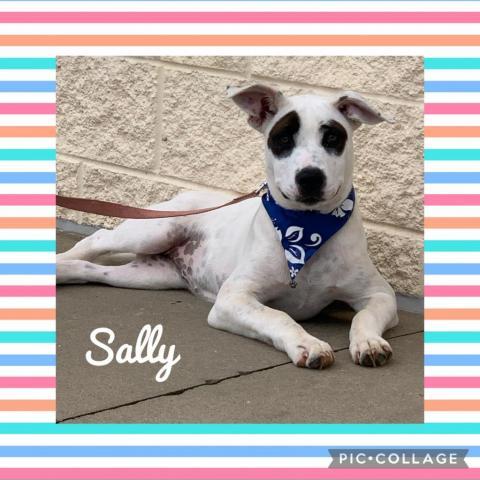 Sally