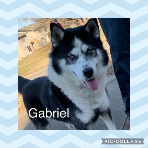 Gabriel