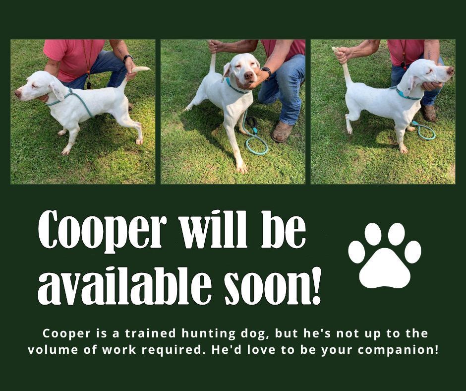 Cooper (MN)
