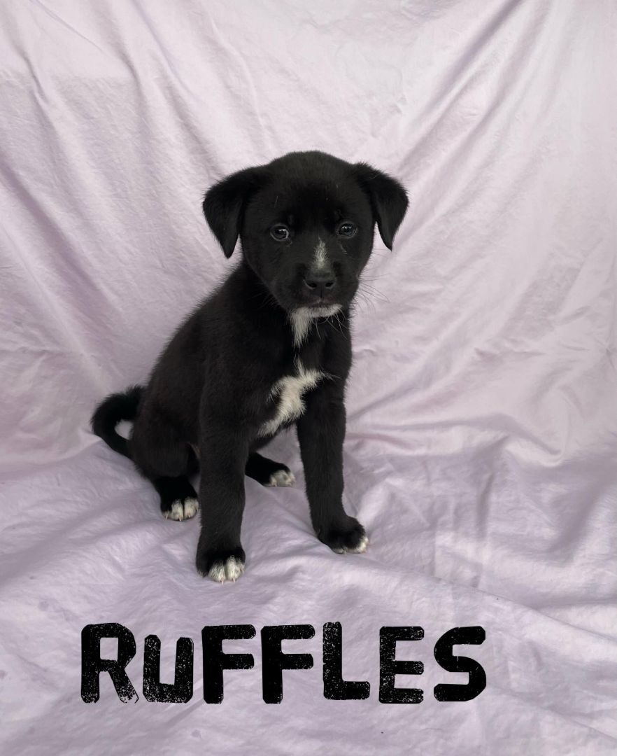 Ruffles