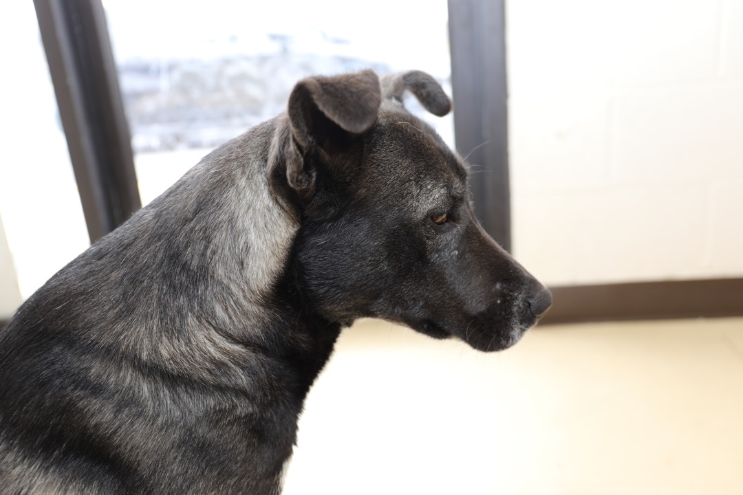 Athena