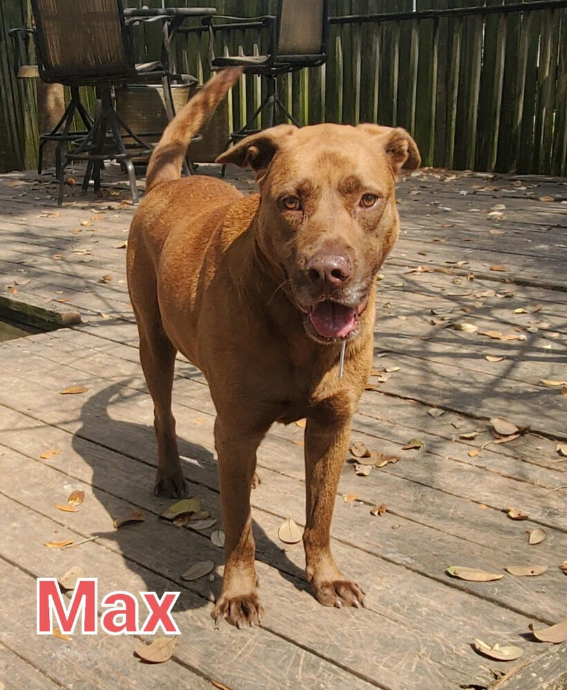 Max