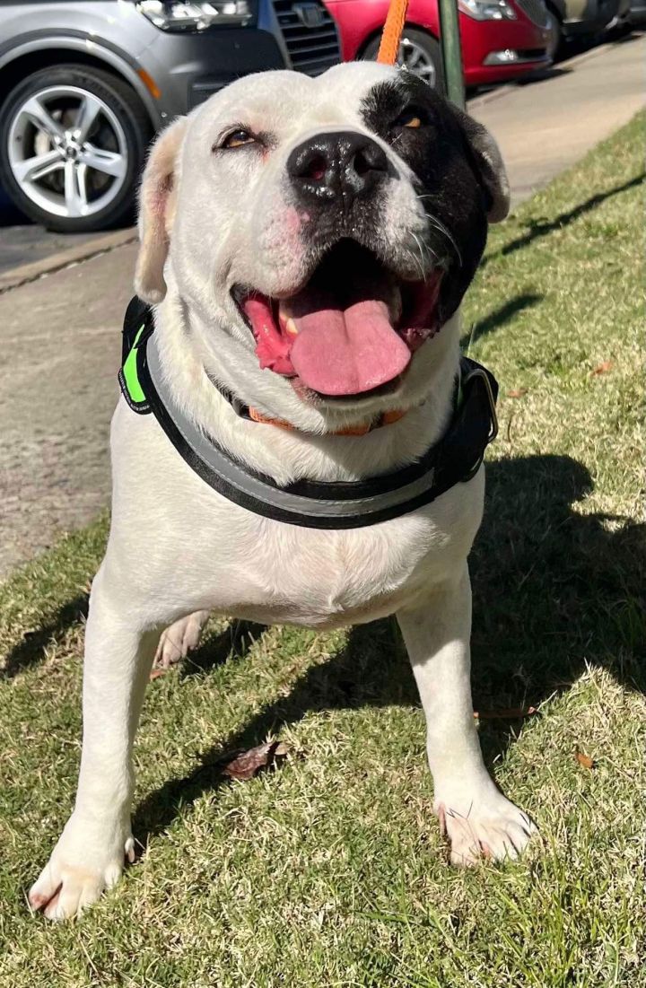 Petey 1