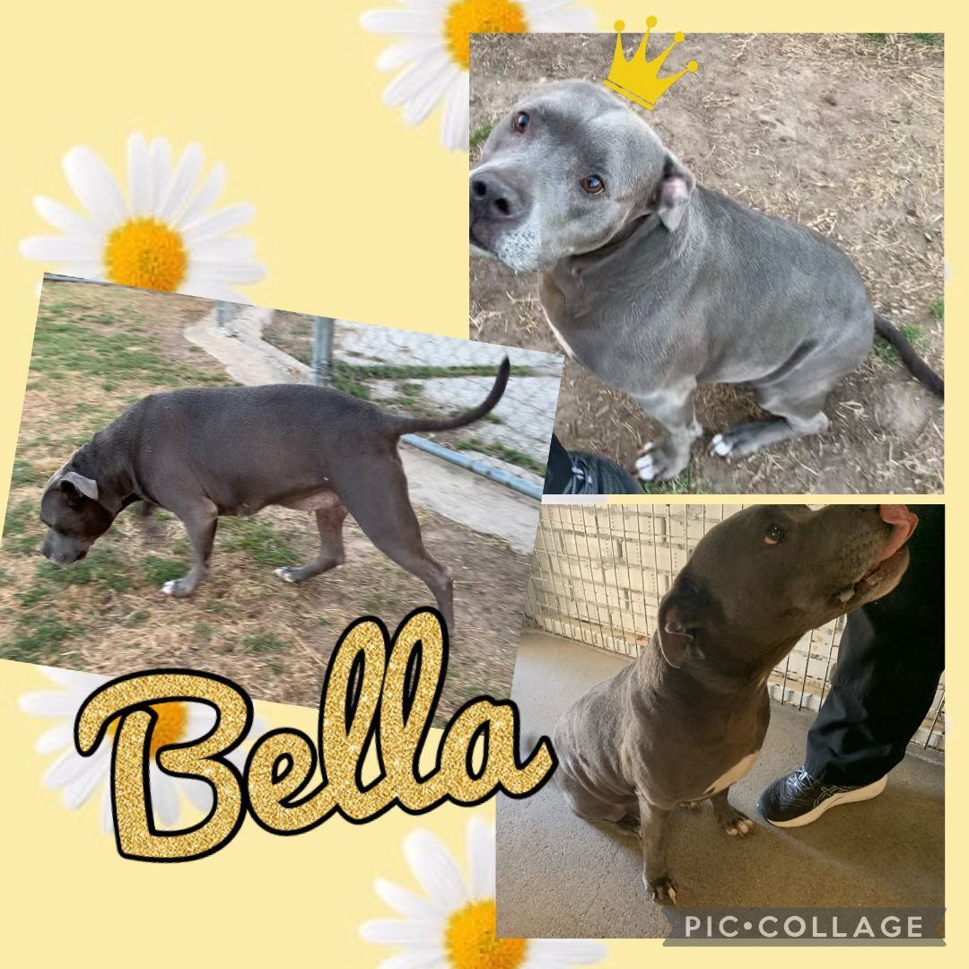 Bella